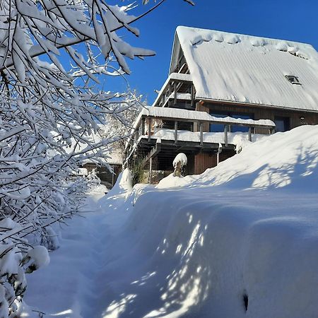 Вилла Haus Mit Bergblick Зигсдорф Экстерьер фото